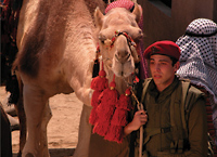 Independent Film WEST BANK STORY, photo courtesy of the San Francisco Jewish Film Festival